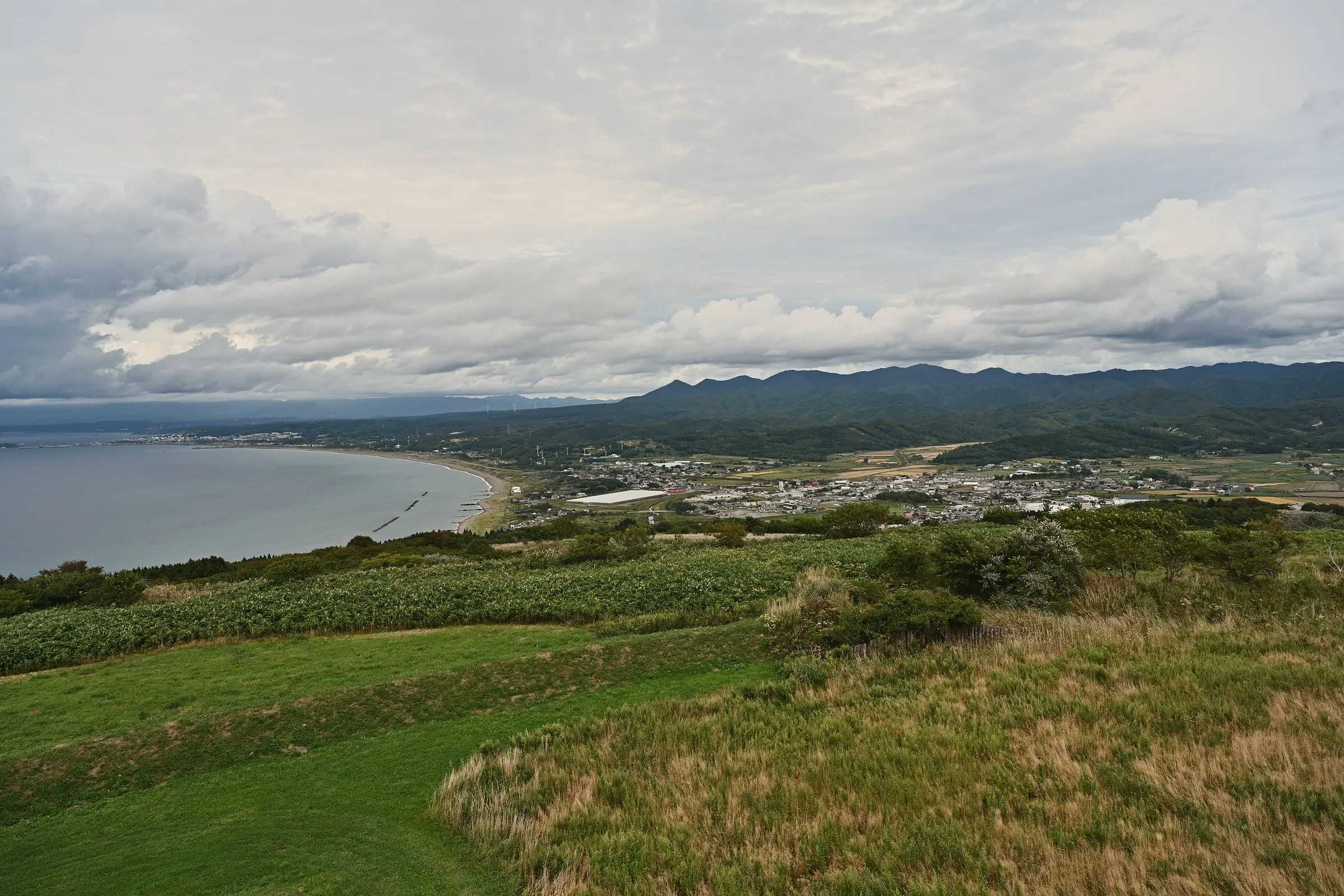 A bay and town seen from a hilltop