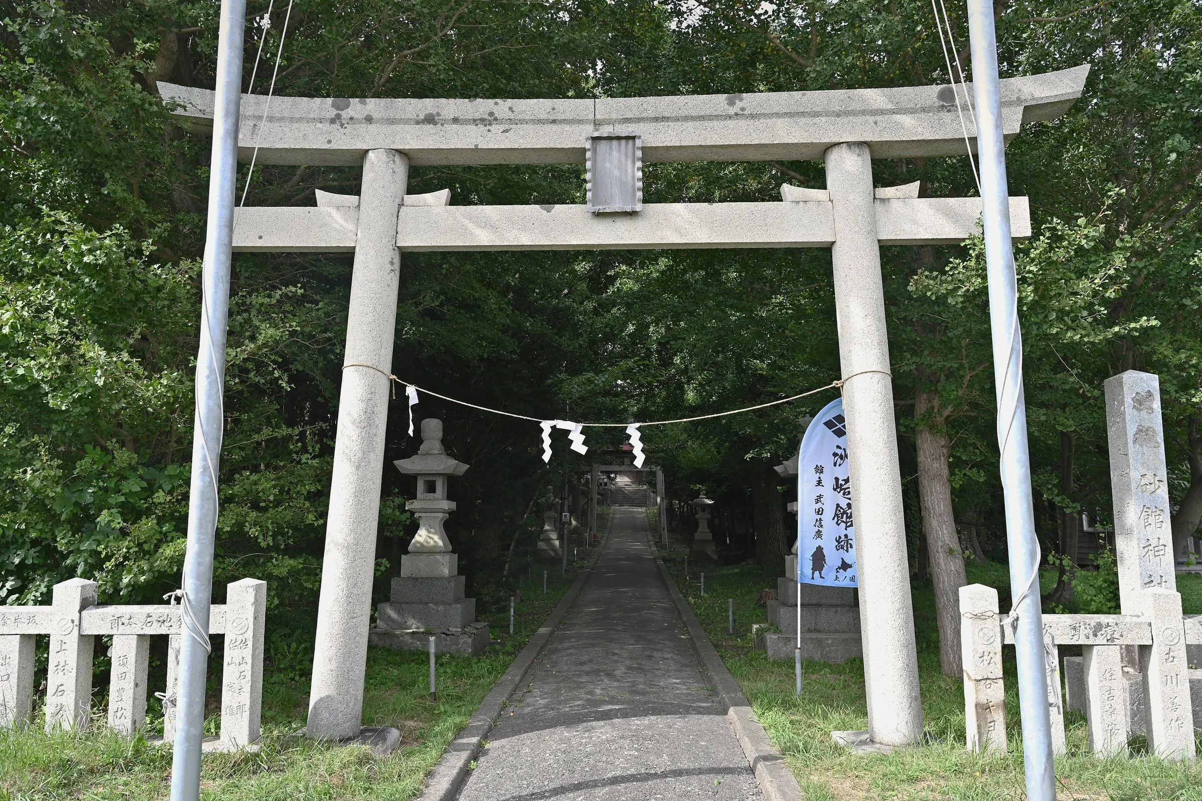 A torii gate and an approach leading into the trees